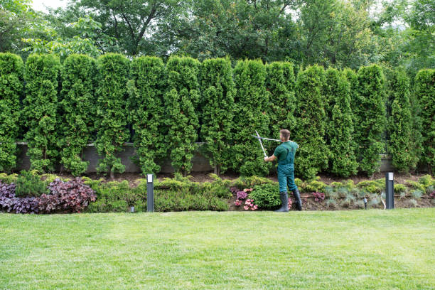 Best Lawn Watering Services  in Dundee, FL